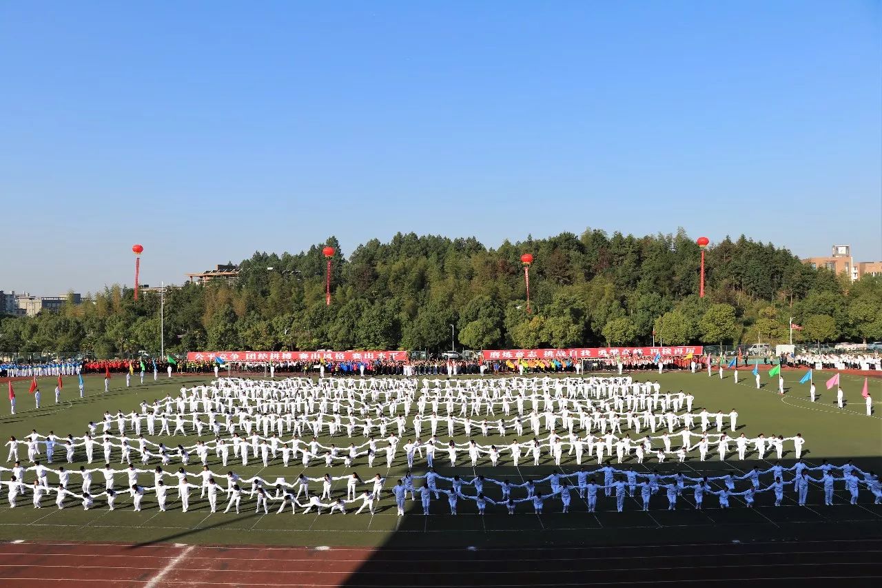 高难度动作一击即中,打破纪录获得掌声喝彩 高难度动作一击即中,打破纪录获得掌声喝彩