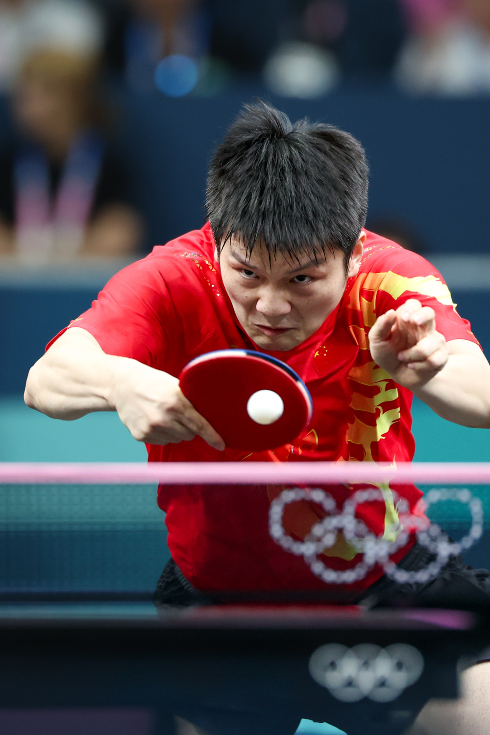 法国乒乓球队绝杀德国乒乓球队,樊振东高光表现 法国乒乓球队绝杀德国乒乓球队,樊振东高光表现